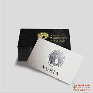 Mẫu Card Visit Nubia – C02