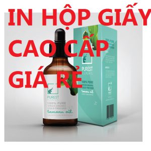 In Hộp Giấy Cao Cấp Giá Rẻ