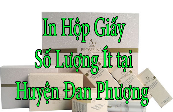 In Hộp Giấy Số Lượng Ít tại Huyện Đan Phượng